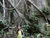 lichen7