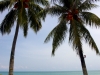 pangkor2