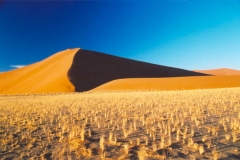 Namibië