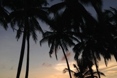 Sri Lanka 2015